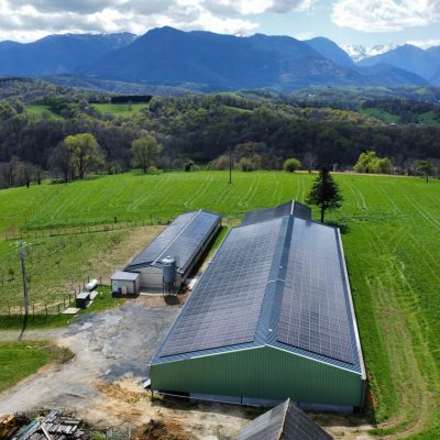dji_fly_20240403_141126_243_1712146295724_photo_optimized